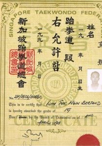 Sifu Bertrand Lim, Wing Chun Classes, Wing Chun Singapore